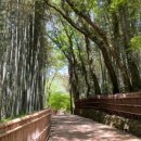 소쇄원앞집 이미지