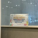 스위밍키즈 호매실점 이미지