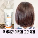 비엘코리아 | 트리트먼트 샴푸 미엘레 비엘 뷰티럽코리아