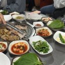 이지비야 이미지