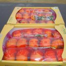 천지인농장 이미지