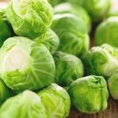 다이어트요가-C 이미지