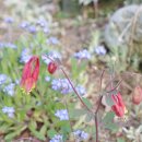 꽃집민박 이미지