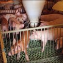 김동환농장 이미지