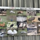 풀내음펜션 - 고성군 용촌천길 70-16 | 풀내음펜션
