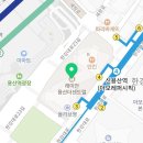 팰리시티뷰티 이미지