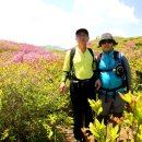 산울림 이미지