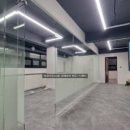 디엘디(DLD) 이미지