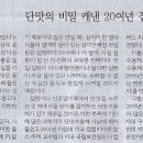 오피니언 이미지