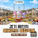 송이테마공원 주차장 | 4월 용인 가볼만한곳 : 2026 에버랜드 튤립축제 산리오 콜라보 방문후기