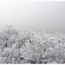 양지-3556 이미지