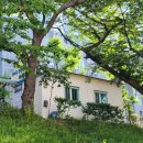 온천천 자전거대여소 옆 이미지