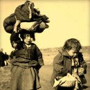 유정천리 이미지