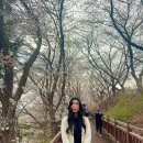 정명재 | 2025년도 산업안전지도사 1차 시험 후기