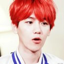 태형수지 이미지