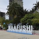 호텔 하비비 | NOL 해외숙소로 몰디브 마푸시 MAAFUSHI 로컬 섬 카니 호텔 자유여행/너스샤크투어/다이빙