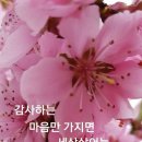 길따라행복