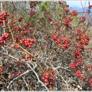 옥산 노인회관 이미지