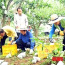 유영수 농장 이미지