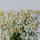 힐링코스 이미지