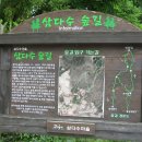 삼다수숲길 2코스 이미지
