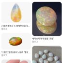 오팔농장 이미지