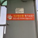 부산 3대 국밥 합천일류돼지국밥, 사상 돼지국밥 맛집 솔직후기 (웨이팅, 주차)