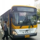 주정차-51 이미지