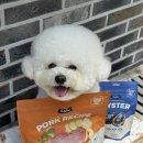 트러스티푸드 동결건조 사료 &amp; 가니쉬 추천 강아지 저속노화식단 솔직후기