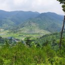 신기십장생마을 이미지