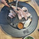 숙성고집 이미지