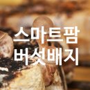 순천시 유용미생물 생산시설 | [스마트팜] 버섯배지 선택