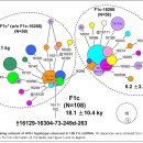 Inland post-glacial dispersal in East Asia revealed by mitochondrial haplogroup M9a’b- 2011 이미지