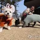 소풍가는날 이미지