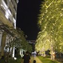 아이스크림 세계과자 아사삭 보람점 | 빈홀리데이즈 피에스타 푸꾸옥, 그랜드월드 맛집 마사지 네일