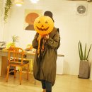 다다다펫그루밍 이미지