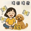 다인 | 제주여행 : 제주 애월 가성비 숙소 솔직 후기 / 다인리조트 / 체크인은 다인오세아노🏨