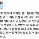 댕댕슈퍼 이미지