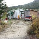 새운농장 이미지