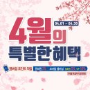 다비치안경 김포감정점