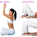 퍼팩트라인 이미지