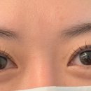 꼼꼼속눈썹 이미지