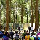 서귀포 치유의 숲 이미지