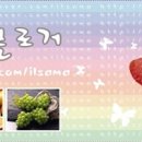 노블까페 10월체험단 우수활동수상자 발표및 새로운 체험단 발표