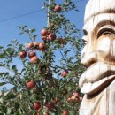 봉현농장 이미지