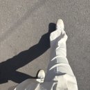 여름 슬랙스 유목민 정착! 라라 썸머 찰랑 벨트 투핀턱 롱 와이드 슬랙스 아이보리 L 착용 후기 ✨