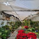 대광농원 이미지