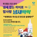 펫맘사랑