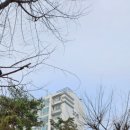 본원로 이미지