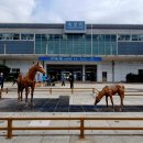 한성목장 이미지